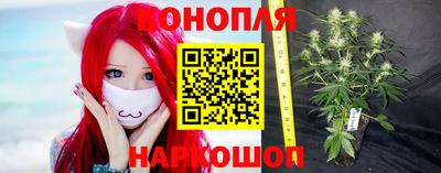прущий лед Новозыбков