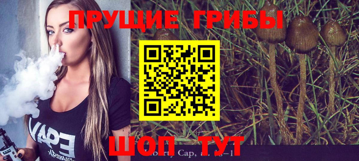Псилоцибиновые грибы ЛСД Ухта